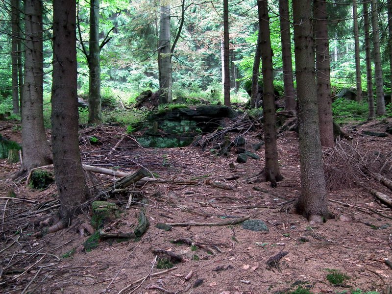 110607_HDO2011d_028.jpg