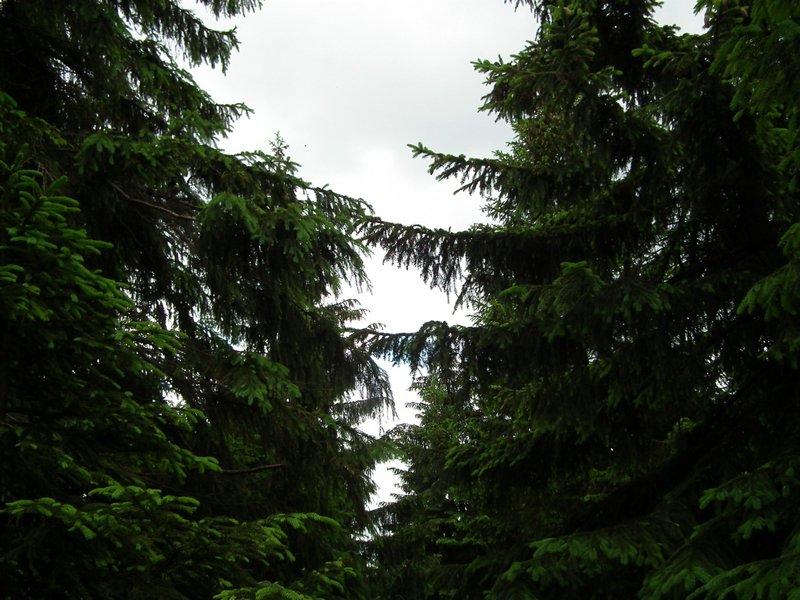 110607_HDO2011d_031.jpg