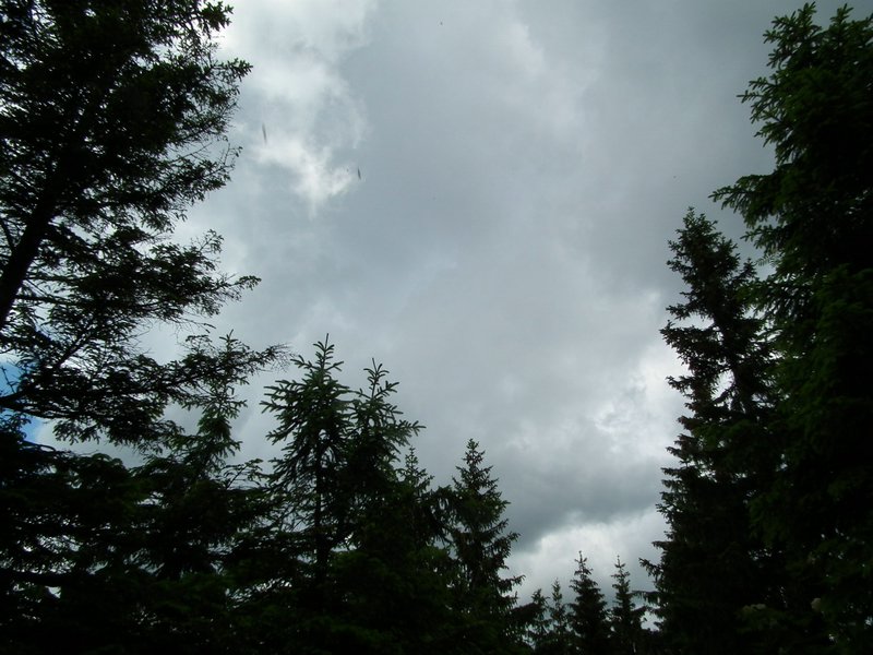 110607_HDO2011d_032.jpg