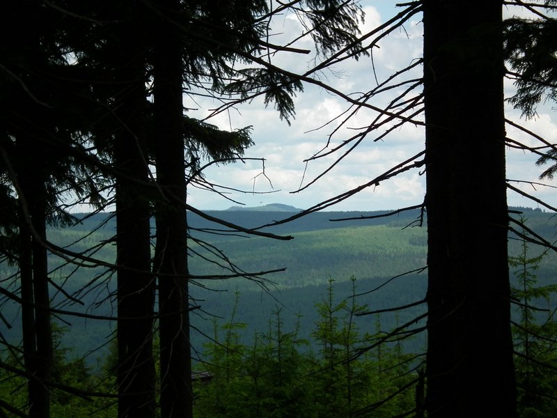 110607_HDO2011d_037.jpg