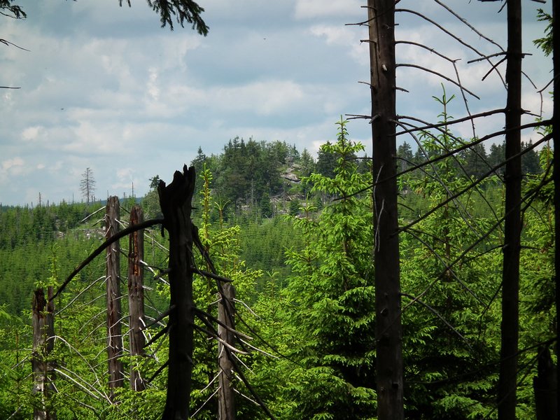 110607_HDO2011d_043.jpg