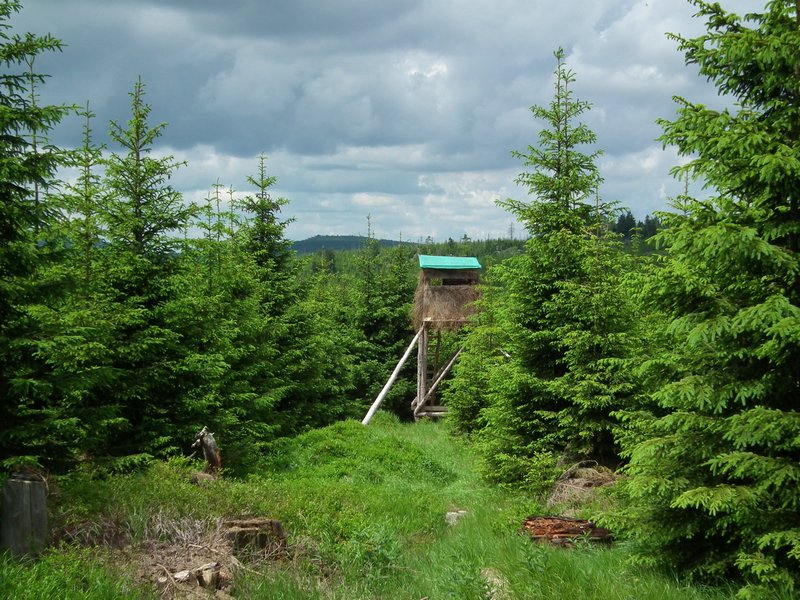 110607_HDO2011d_045.jpg