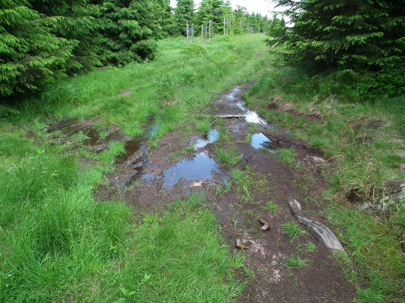 110607_HDO2011d_046.jpg