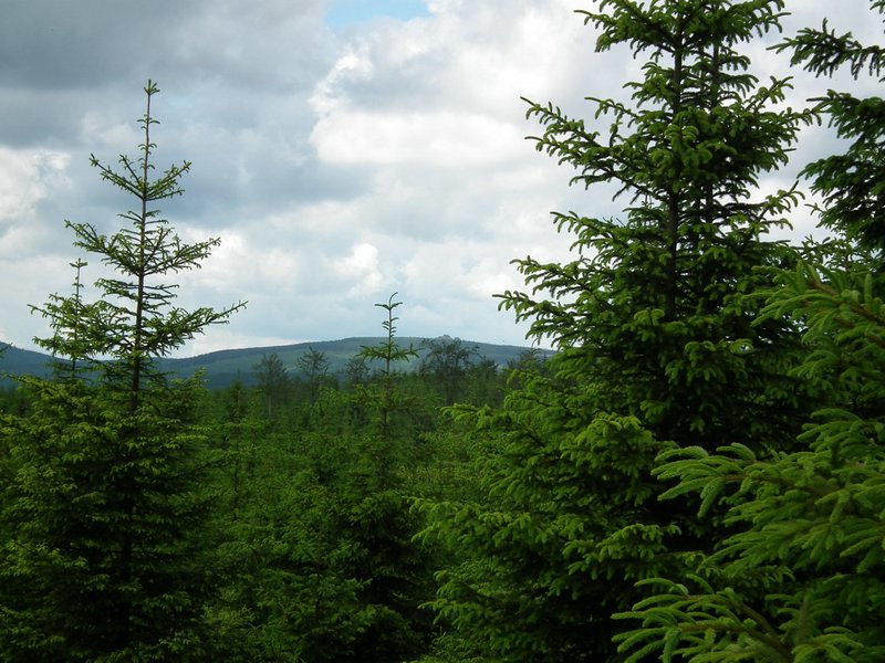 110607_HDO2011d_048.jpg