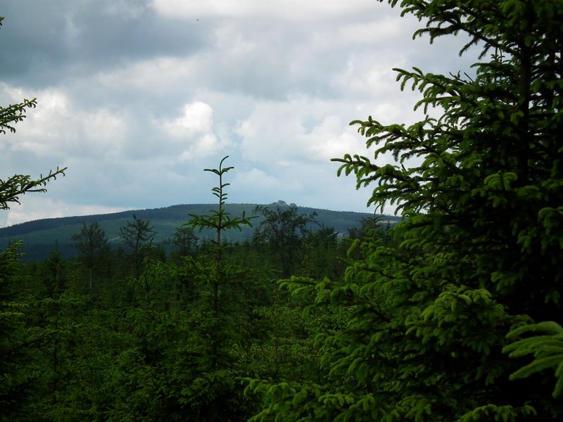 110607_HDO2011d_049.jpg