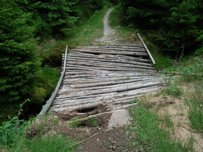 110607_HDO2011d_050.jpg