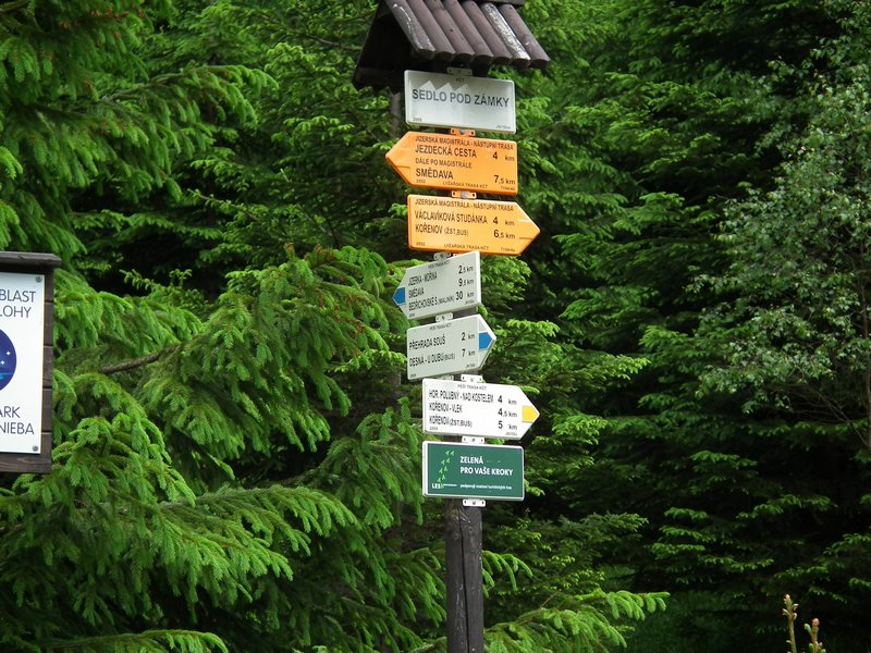 110607_HDO2011d_051.jpg