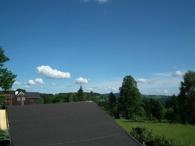 110607_HDO2011d_055.jpg