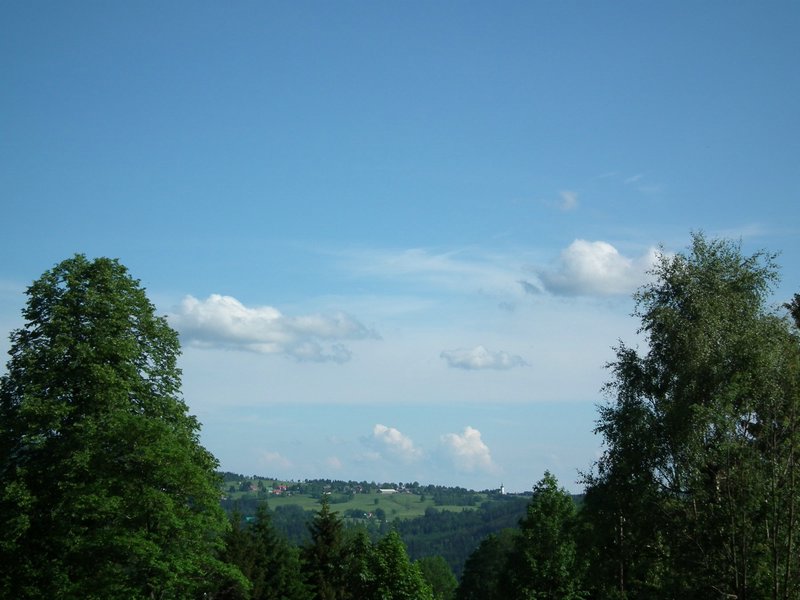 110607_HDO2011d_056.jpg