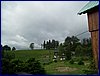 110607_HDO2011d_010.jpg