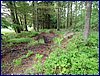 110607_HDO2011d_019.jpg