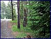 110607_HDO2011d_020.jpg