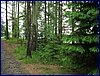 110607_HDO2011d_021.jpg