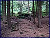 110607_HDO2011d_028.jpg