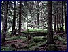 110607_HDO2011d_029.jpg