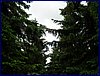 110607_HDO2011d_031.jpg