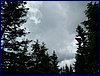 110607_HDO2011d_032.jpg