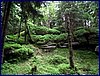 110607_HDO2011d_033.jpg
