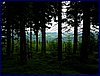 110607_HDO2011d_036.jpg