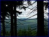 110607_HDO2011d_037.jpg