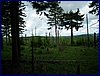 110607_HDO2011d_041.jpg