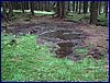 110607_HDO2011d_042.jpg