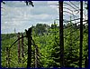 110607_HDO2011d_043.jpg