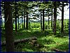 110607_HDO2011d_044.jpg