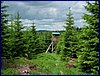 110607_HDO2011d_045.jpg