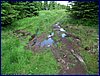 110607_HDO2011d_046.jpg