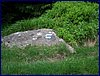 110607_HDO2011d_047.jpg
