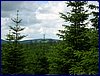 110607_HDO2011d_048.jpg
