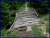 110607_HDO2011d_050.jpg
