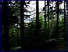 110607_HDO2011d_052.jpg