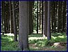 110607_HDO2011d_053.jpg