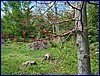 110607_HDO2011d_054.jpg