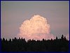 110607_HDO2011d_061.jpg