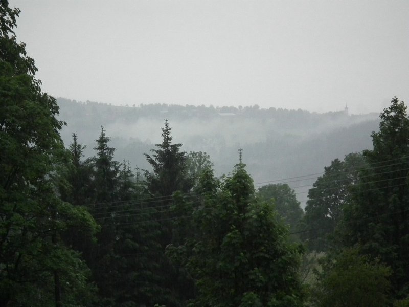 110608_HDO20114_049.jpg