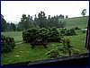 110608_HDO20114_051.jpg
