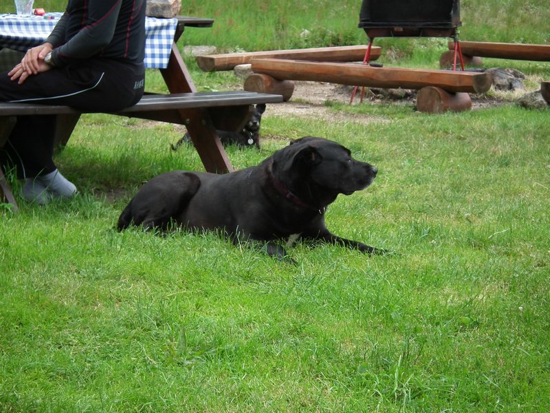 110609_HDO2011f_006.jpg