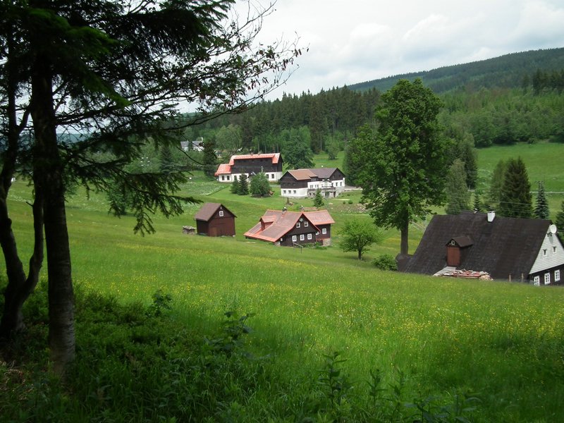 110609_HDO2011f_015.jpg