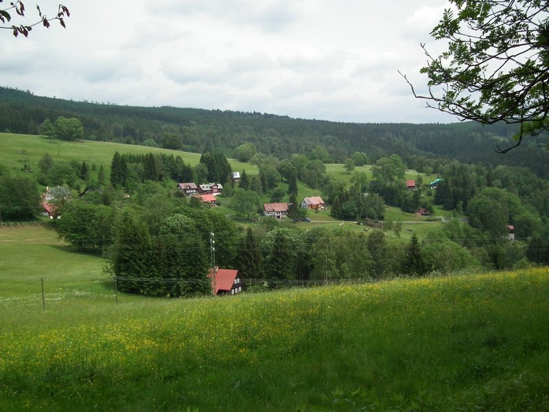 110609_HDO2011f_016.jpg