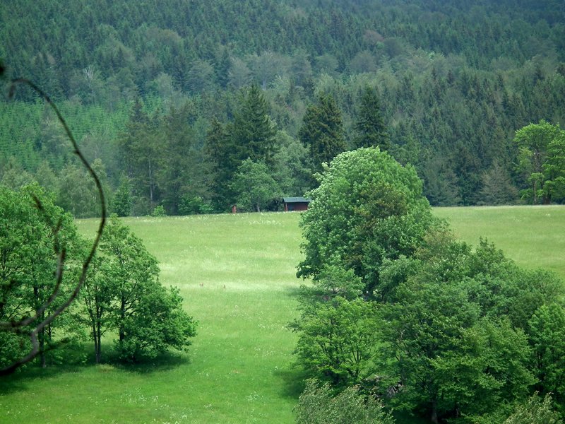 110609_HDO2011f_017.jpg
