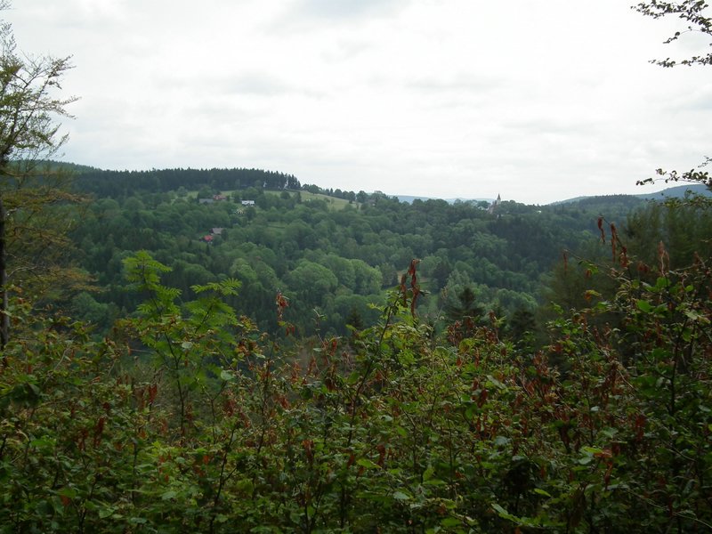 110609_HDO2011f_021.jpg