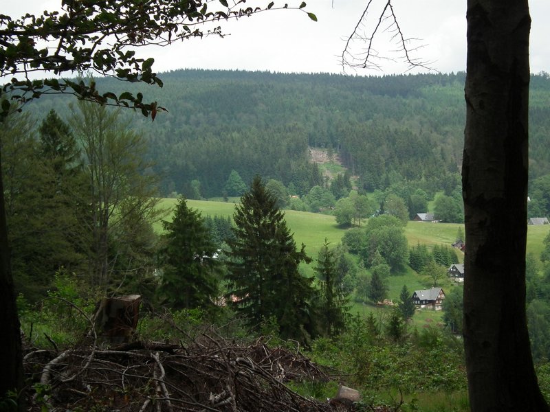 110609_HDO2011f_023.jpg