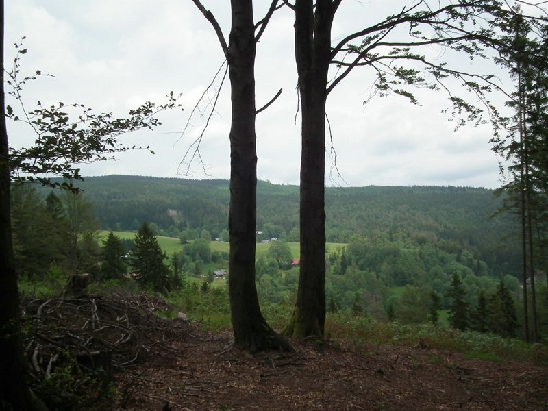 110609_HDO2011f_024.jpg