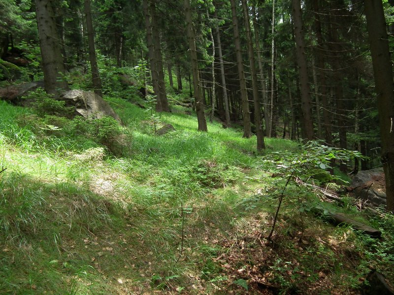 110609_HDO2011f_030.jpg
