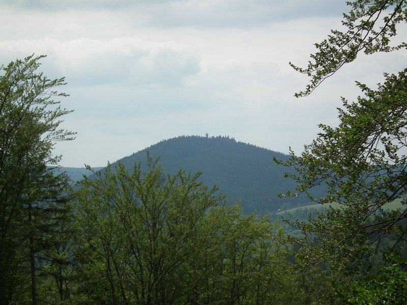 110609_HDO2011f_034.jpg