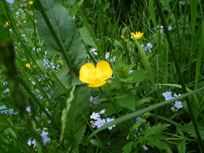 110609_HDO2011f_046.jpg