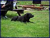 110609_HDO2011f_006.jpg